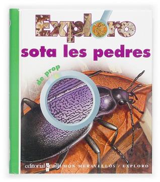 EXPLORO SOTA LES PEDRES DE PROP | 9788466107259 | GALLIMARD JEUNESSE, ÉDITIONS