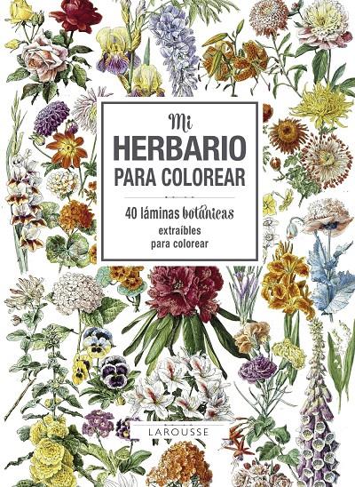 MI HERBARIO PARA COLOREAR | 9788416984749 | LAROUSSE EDITORIAL