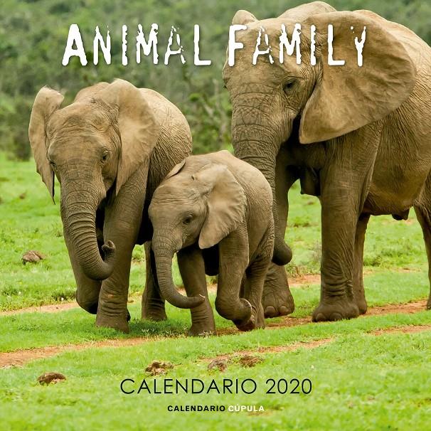CALENDARIO ANIMAL FAMILY 2020 | 9788448026189 | AA. VV.