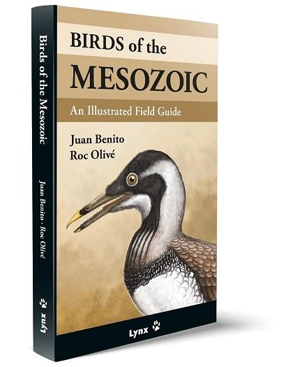BIRDS OF THE MESOZOIC | 9788416728527 | BENITO, JUAN/OLIVE POUS, ROC