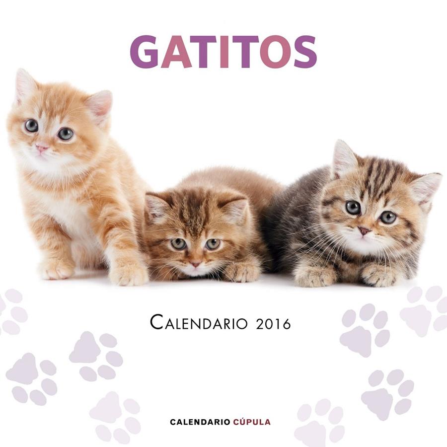 CALENDARIO GATITOS 2016 | 9788448021719 | AA. VV.