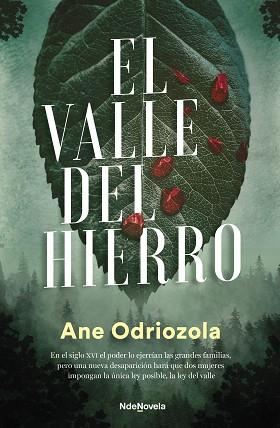 EL VALLE DEL HIERRO | 9788410140035 | ODRIOZOLA, ANE