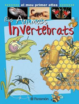ANIMALS INVERTEBRATS, ELS (EL MEU PRIMER ATLES) | 9788434227149 | MARCET, XAVIER