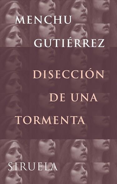 DISECCION DE UNA TORMENTA LT-199 | 9788478448319 | GUTIERREZ, MENCHU