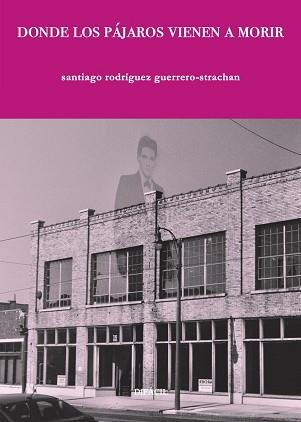 DONDE LOS PÁJAROS VIENEN A MORIR | 9788412673265 | RODRÍGUEZ GUERRERO-STRACHAN, SANTIAGO