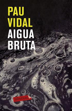 AIGUA BRUTA | 9788499301228 | VIDAL GAVILAN PAU