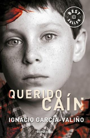 QUERIDO CAIN | 9788483465899 | GARCIA-VALI¥O, IGNACIO