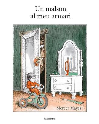 UN MALSON AL MEU ARMARI | 9788484647713 | MAYER, MERCER