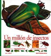 MILLON DE INSECTOS, UN | 9788434852051 | SAIRIGNÉ-BON, CATHERINE DE/ALBOUY, VICENT