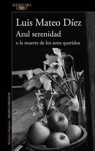 AZUL SERENIDAD O LA MUERTE DE LOS SERES | 9788420406183 | DIEZ RODRIGUEZ, LUIS MATEO