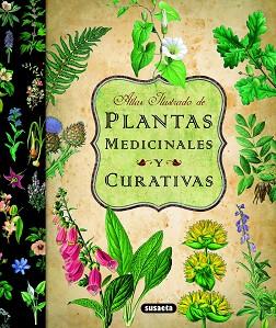 PLANTAS MEDICINALES Y CURATIVAS | 9788467712575 | VV AA