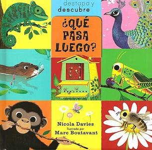 QUÈ PASSARÀ? | 9788426139979 | DAVIES, NICOLA