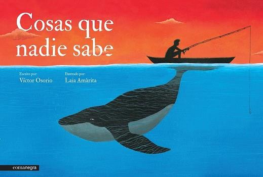 COSAS QUE NADIE SABE | 9788416033089 | OSORIO, VÍCTOR/AMÀRITA, LAIA