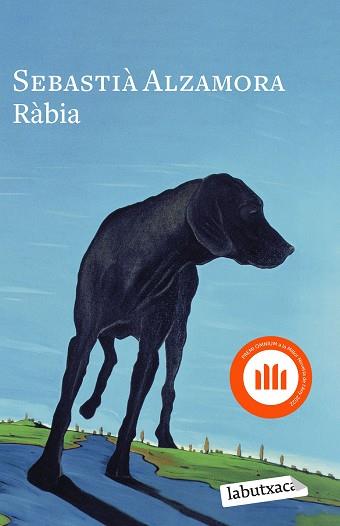 RÀBIA | 9788419107404 | ALZAMORA, SEBASTIÀ