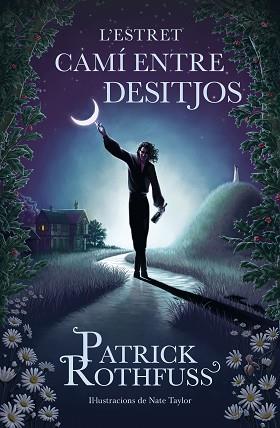 L'ESTRET CAMÍ ENTRE DESITJOS | 9788419259820 | ROTHFUSS, PATRICK