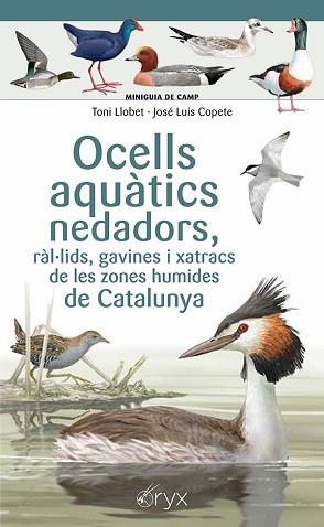 OCELLS AQUÀTICS NEDADORS, RÀL·LIDS, GAVINES I XATRACS DE LES ZONES HUMIDES DE CA | 9788413564883 | COPETE, JOSÉ LUIS