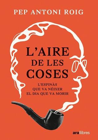 L'AIRE DE LES COSES | 9788411730440 | ANTONI ROIG, PEP