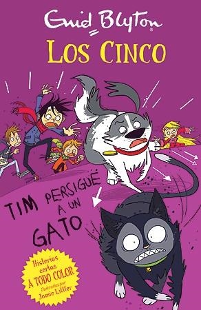 TIM PERSIGUE A UN GATO (LOS CINCO) | 9788426142122 | BLYTON, ENID