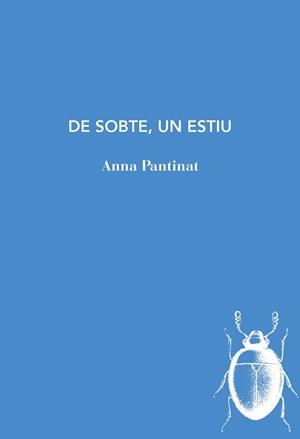 DE SOBTE, UN ESTIU | 9788494289743 | ANNA PANTINAT HERNÁNDEZ