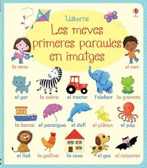 MEVES PRIMERES PARAULES EN IMATGES | 9781474903400 | BROOKS, FELICITY/WOOD, HANNAH/MACKINNON, MAIRI