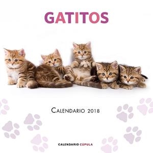 2018 CALENDARIO GATITOS 2018 | 9788448023454 | AA. VV.