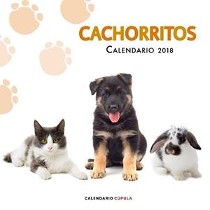 2018 CALENDARIO CACHORRITOS 2018 | 9788448023478 | AA. VV.