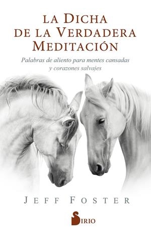 LA DICHA DE LA VERDADERA MEDITACIÓN | 9788418000522 | FOSTER, JEFF