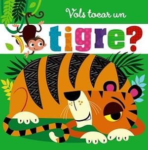VOLS TOCAR UN TIGRE? | 9788499062624 | VARIOS AUTORES