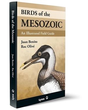 BIRDS OF THE MESOZOIC | 9788416728527 | BENITO, JUAN/OLIVE POUS, ROC