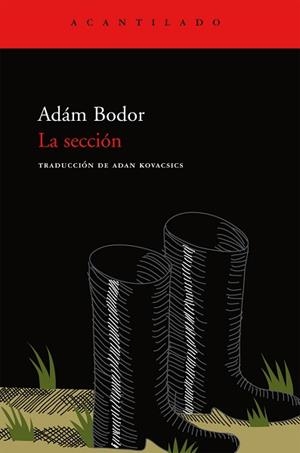 SECCION CA-22 | 9788496489738 | BODOR, ADAM