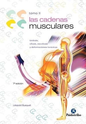 CADENAS MUSCULARES II, LAS TRONCO Y COLUMNA CERVI | 9788480191715 | BUSQUET, LÉOPOLD