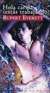 HOLA CARIÑO, ¨ESTAS TRABAJANDO? | 9788495470003 | EVERETT, RUPERT
