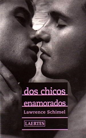 DOS CHICOS ENAMORADOS | 9788475844640 | SCHIMEL. LAWRENCE