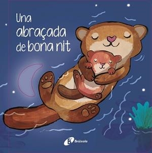 UNA ABRAÇADA DE BONA NIT | 9788413494319 | HEGARTY, PATRICIA