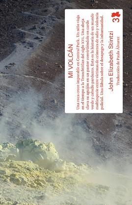 MI VOLCÁN | 9788412743807 | ELIZABETH STINTZI, JONH