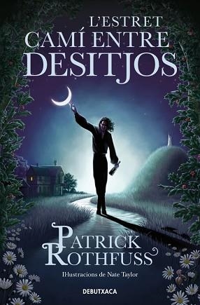 L'ESTRET CAMÍ ENTRE DESITJOS | 9788419394682 | ROTHFUSS, PATRICK