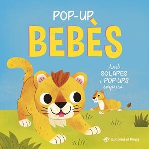 POP-UP BEBÈS - CONTE AMB SOLAPES I POP-UPS SORPRESA! | 9788419912527 | BLAKE, CARLY