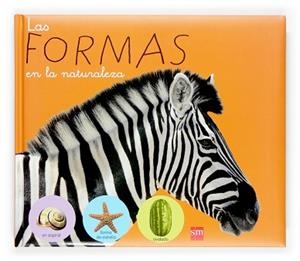 FORMAS EN LA NATURALEZA, LAS | 9788434812314 | TELLECHEA MORA, TERESA TR.