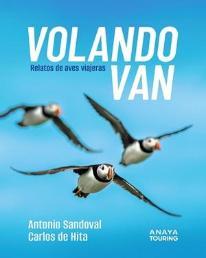 VOLANDO VAN | 9788491589303 | SANDOVAL REY, ANTONIO JUAN/HITA MORENO, CARLOS DE