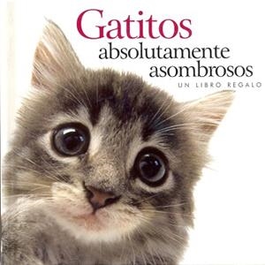 GATITOS ABSOLUTAMENTE ASOMBROSOS | 9781846341908 | EXLEY, HELEN