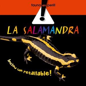 SALAMANDRA, LA | 9788498254501 | QUERALT, ELISENDA