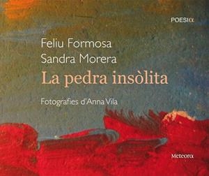 PEDRA INSOLITA, LA | 9788495623898 | FORMOSA, FELIU