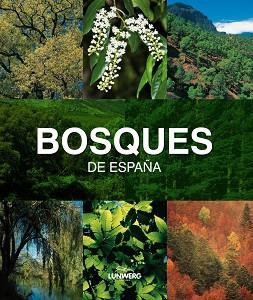 BOSQUES DE ESPAÑA | 9788497857482 | ARAUJO, JOAQUÍN