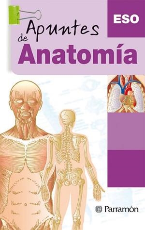 ANATOMÍA | 9788434229518 | CASSAN TACHLITZKY, ADOLFO/LEÓN, PERE LLUIS
