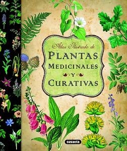 PLANTAS MEDICINALES Y CURATIVAS | 9788467712575 | VV AA