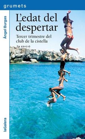 L'EDAT DEL DESPERTAR | 9788424637217 | BURGAS, ÀNGEL