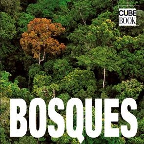 BOSQUES  CUBE BOOK | 9788496865839 | VV.AA.
