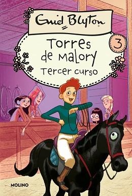 TERCER AÑO EN TORRES DE MALORY | 9788427202177 | BLYTON , ENID