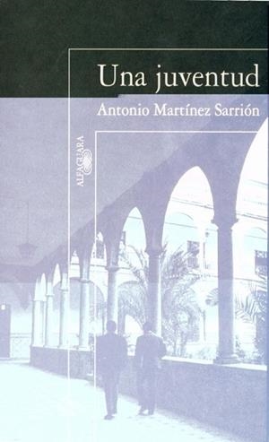 UNA JUVENTUD (MEMORIAS II) | 9788420482545 | MARTINEZ SARRRION, A