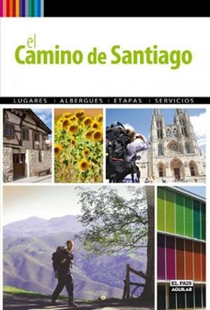 CAMINO DE SANTIAGO A PIE | 9788403509054 | PACO NADAL